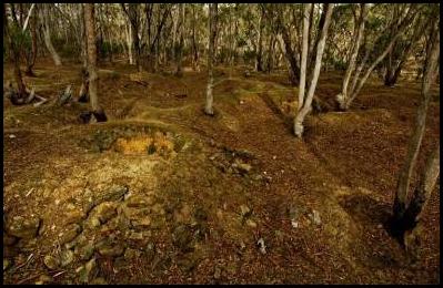 11 Oven's Gully Alluvial Diggings 02 June 2006_4390