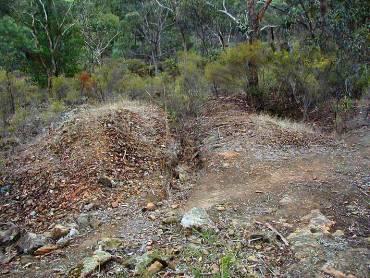 Sailors Gully sluice site DB