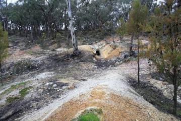 Guildford gravel reserve 003