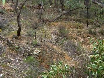 Cobbler Gully puddling machine site DB